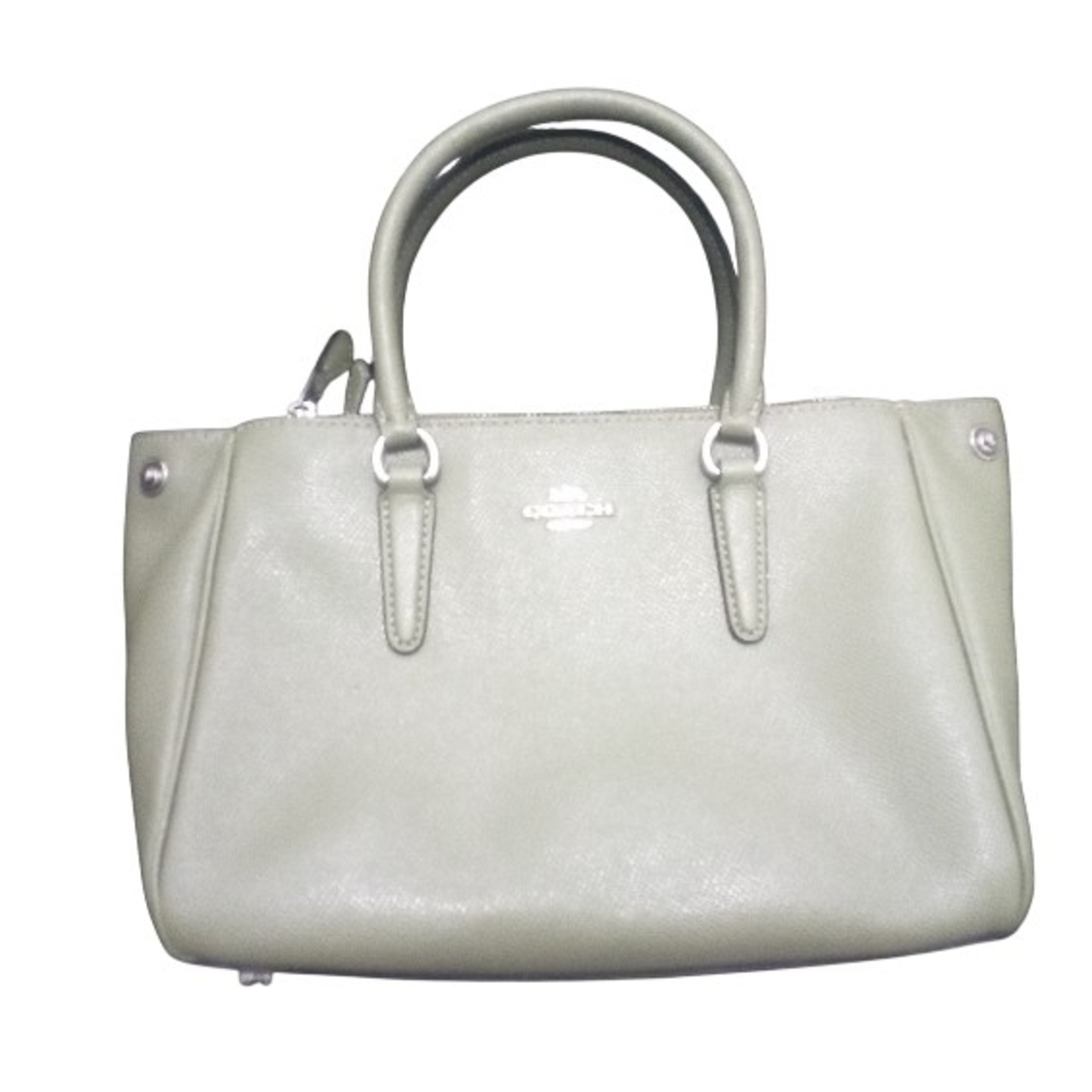 Coach Handbag Mini Surrey Carryall